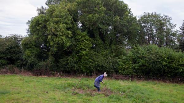 A picture of a lady digging a hole on her farm with trees in the background