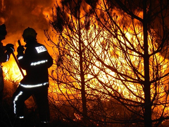 Fireman attending a large vegetation fire