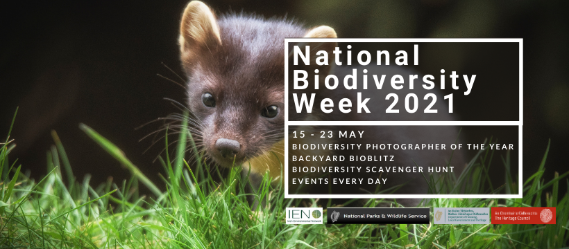 Biodiversity Week 2021