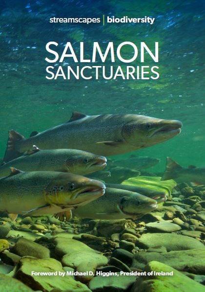 salmon streamscapes