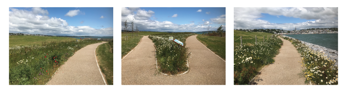 3 images of a walkway and flowers