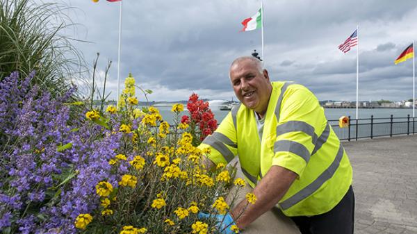 Council Employee planting flowers