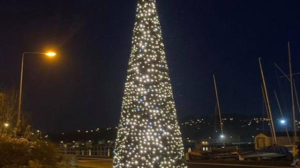 Monkstown Christmas Tree