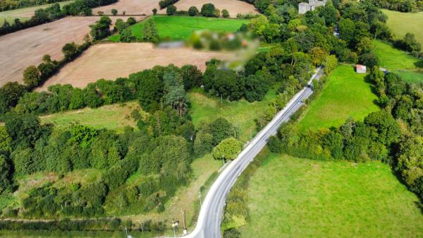 A picture containing grass, green, trees, road