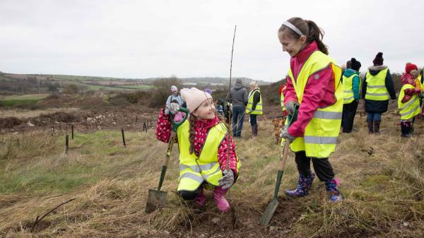 A picture containing grass, outdoor, sky and two children planting trees