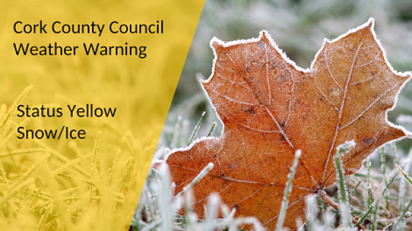 Photograph of an orange leaf covered in frost with text Cork County Council Weather Warning Status Yellow Snow Ice
