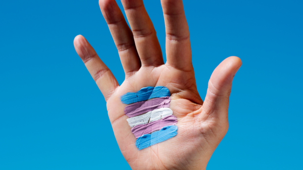 Transgender flag painted in the palm of a hand