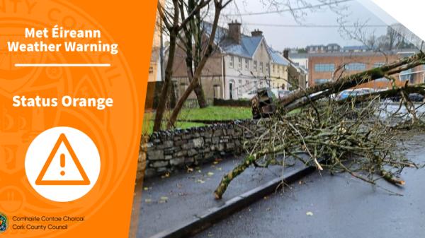Orange weather warning image of a fallen tree