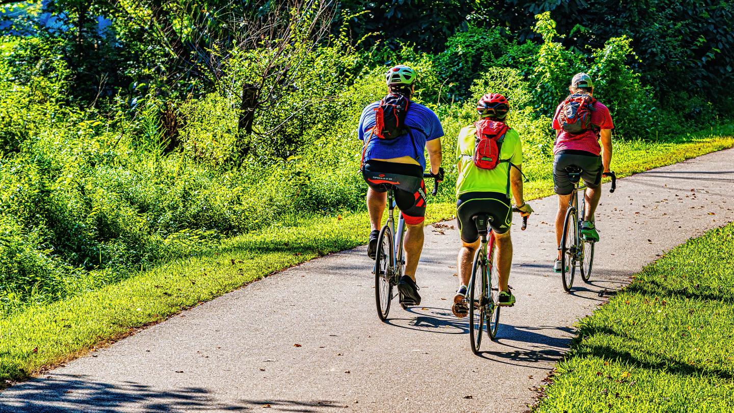 A group of people riding bikes on a path in the woods
