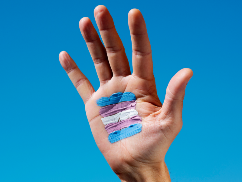 Transgender flag painted in the palm of a hand