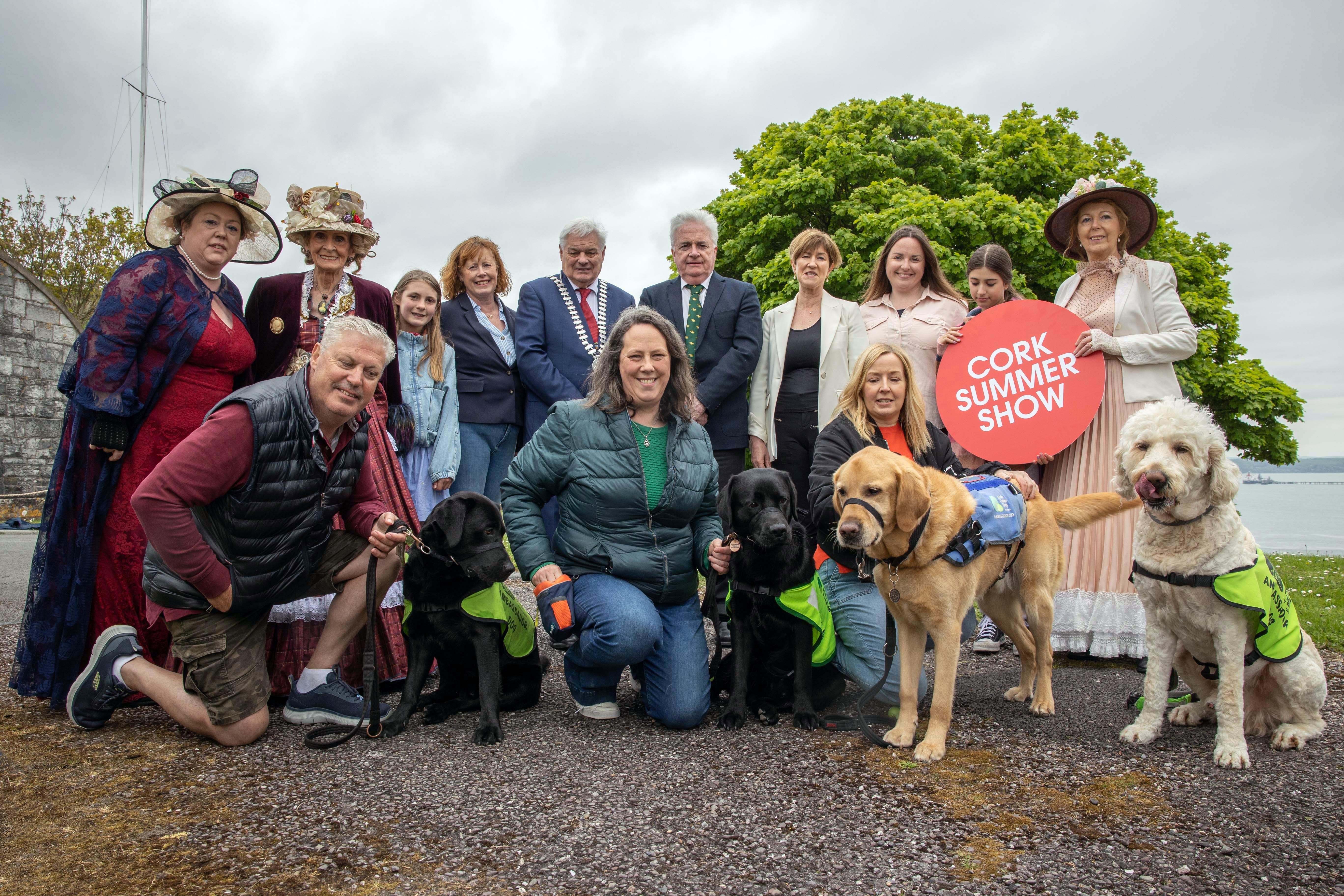 Cork Summer Show