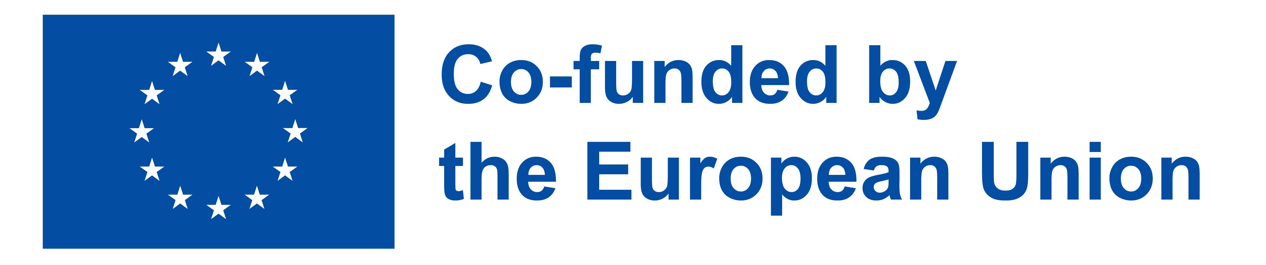 Visual representation of the European Union's co-funding for this initiative